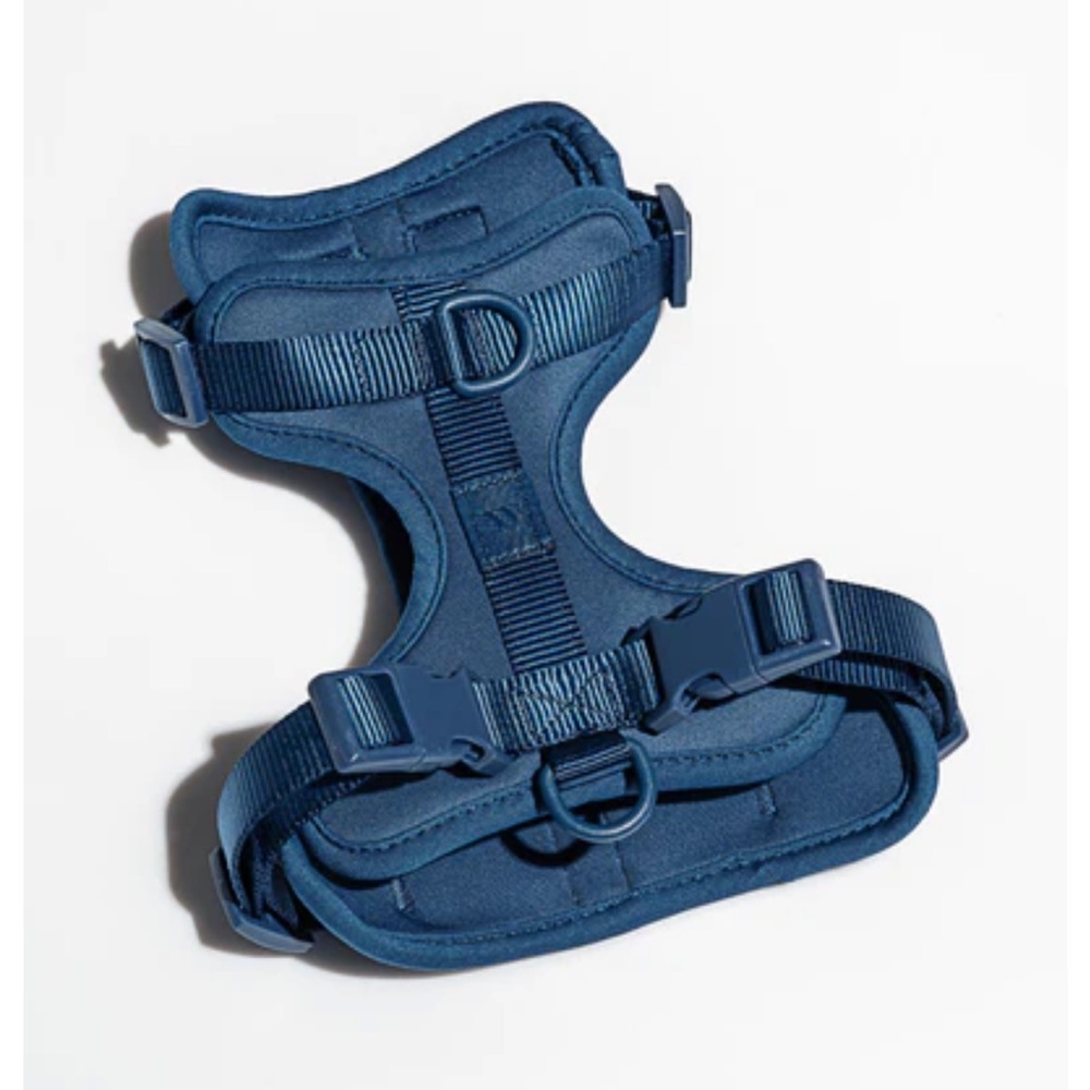 NEW WITH TAGS Wild One Blue Size M Harness